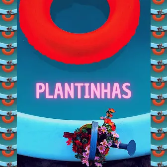 Plantinhas by Francisco Eschiletti