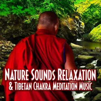 Nature Sounds Relaxation & Tibetan Chakra Meditation Music by 