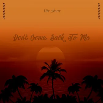 Don't Come Back To Me by Fer Shor