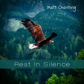 Rest In Silence by Matt Chanting