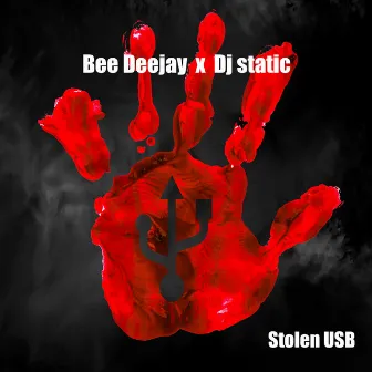 Stolen USB by Bee DeeJay