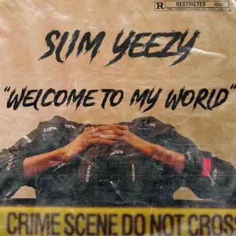 Welcome To My World by Slim Yeezy