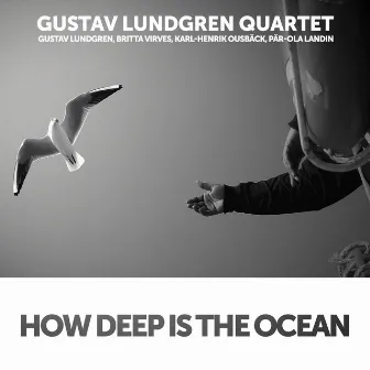 How Deep is the Ocean by Gustav Lundgren Quartet