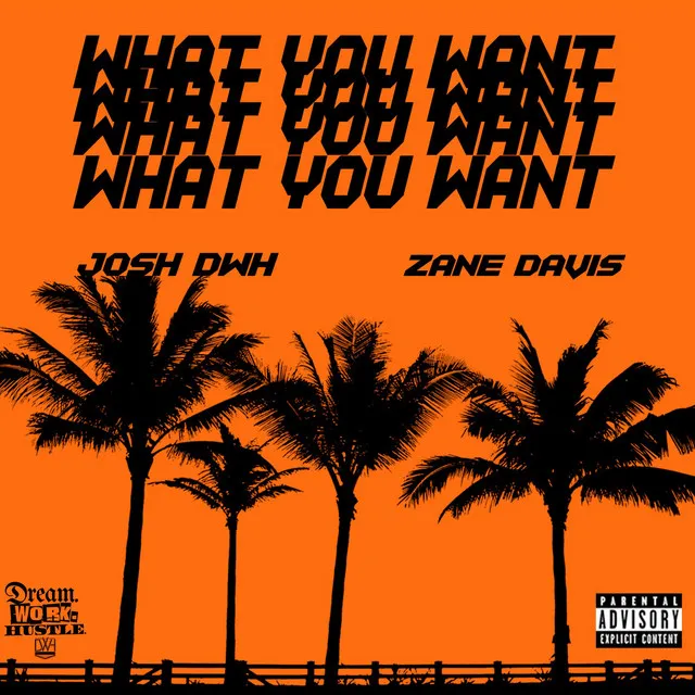 What You Want (feat. Zane Davis)