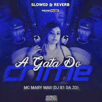 A Gata do Crime - Slowed & Reverb by Dj B1 da ZO