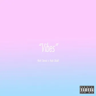 vibes by STEVIE