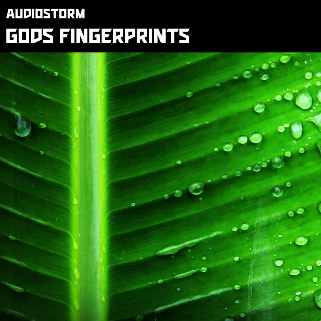 Gods Fingerprints