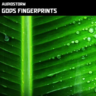 Gods Fingerprints by Audio Storm