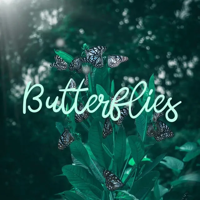 Butterflies