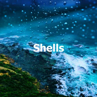 Shells by Calm Sea Sounds