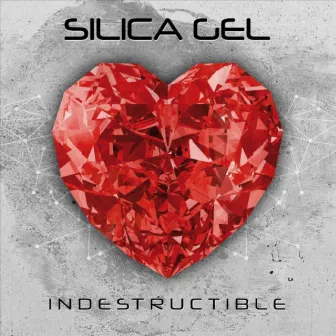 Indestructible by Silica Gel