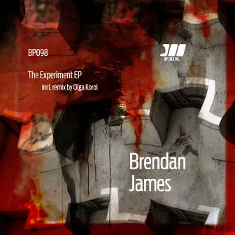 The Experiment by Brendan James