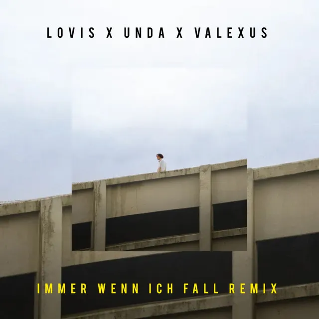 Immer wenn ich fall - Remix