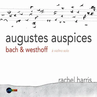 Augustes auspices by Rachel Harris