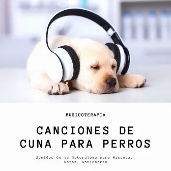 Canciones de Cuna para Perros: Musicoterapia, Sonidos de la Naturaleza para Mascotas, Gatos, Antiestrés by Musicoterapia