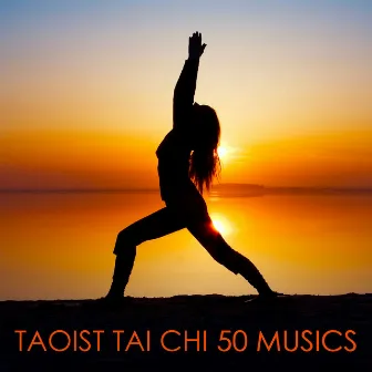 Taoist Tai Chi 50 Musics - Deep Zen Oriental Music for Tai Chi Practice and Meditation Exercises by Unknown Artist