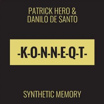 Synthetic Memory by Danilo De Santo