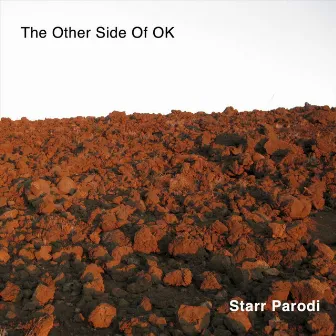 The Other Side of Ok by Starr Parodi