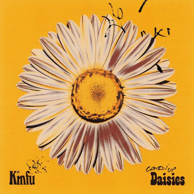 DAISIES