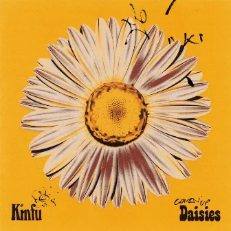 DAISIES by KINFU