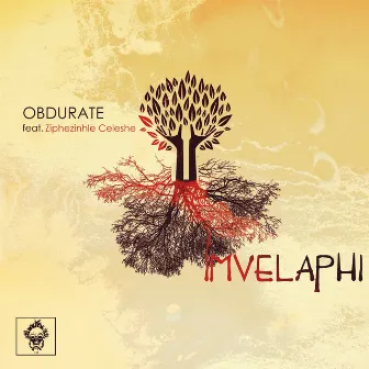 Imvelaphi by Obdurate