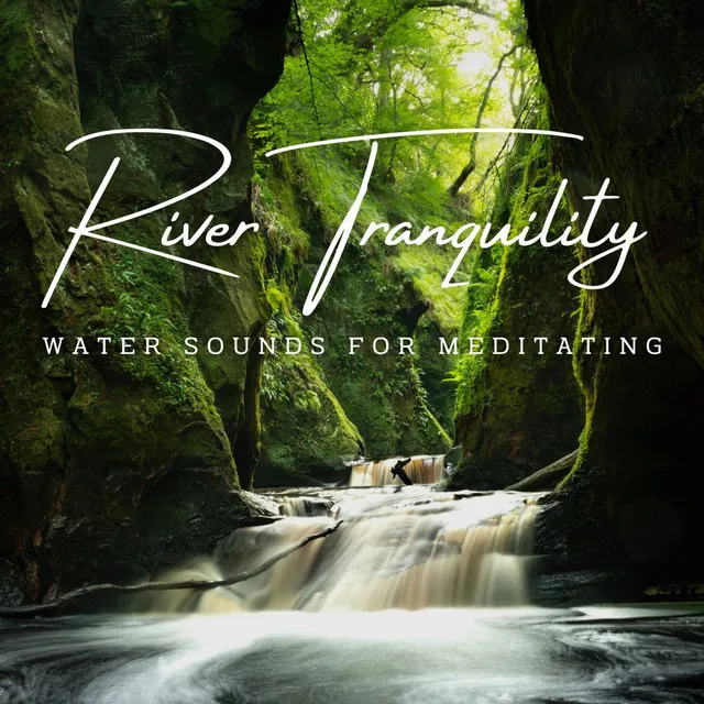 River Tranquility: Water Sounds for Meditating (ASMR)