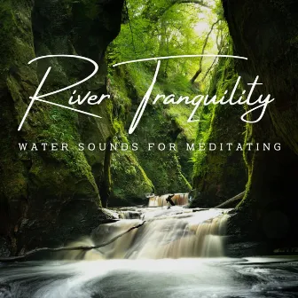 River Tranquility: Water Sounds for Meditating (ASMR) by 