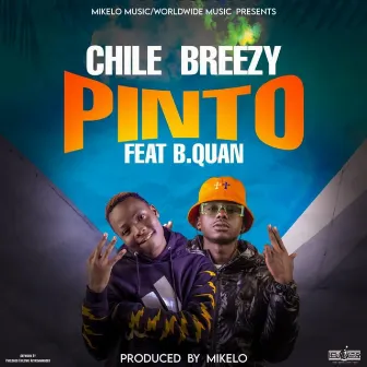 Pinto by Chile Breezy