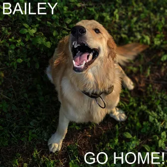 Go Home! by Bailey