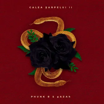 Calea Șarpelui, Vol. 2 by gAZAh