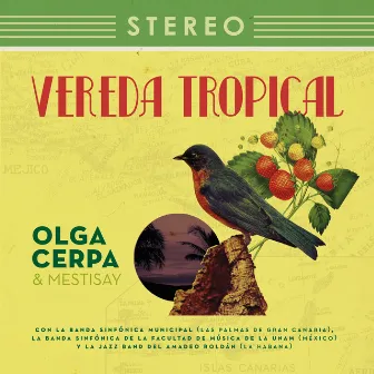 Vereda Tropical by Olga Cerpa y Mestisay