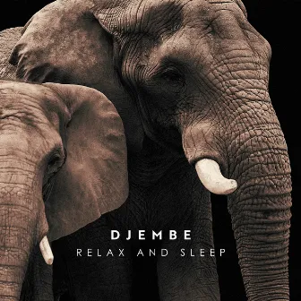 Djembe Relax and Sleep: African Calm Music, Tribal Drumming, Tranquil Sounds of Africa by African Music Drums Collection