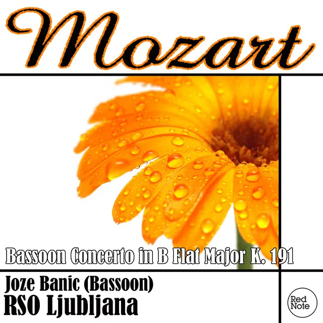 Bassoon Concerto in B Flat Major, K. 191: II. Andante ma Adagio