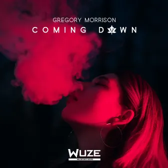 Coming Down by Gregory Morrison