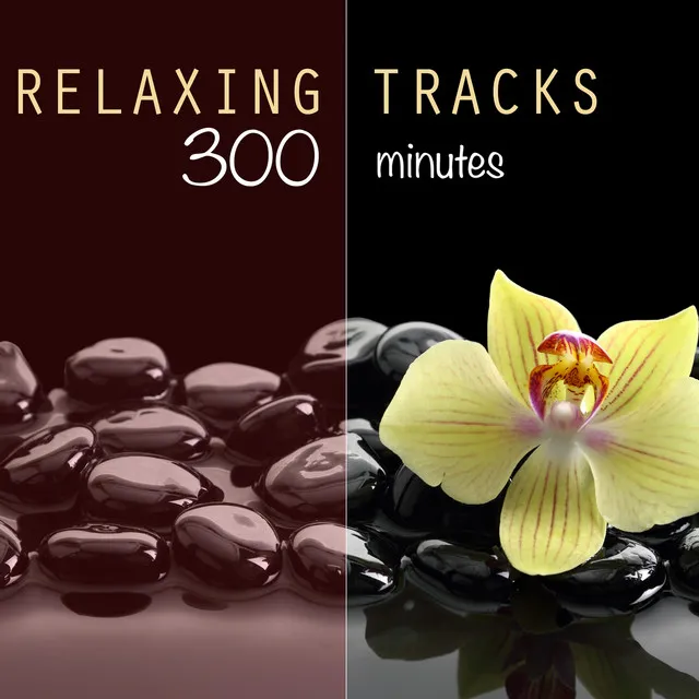 Relaxing Tracks (300 Minutes) - For Meditation, Relaxation, Reiki, Yoga, Massage, Spa Therapy and Deep Sleep