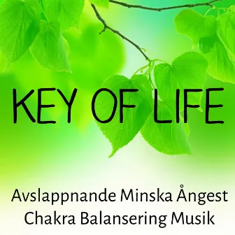 Key of Life - Avslappnande Minska Ångest Chakra Balansering Musik för Vägledd Meditation Chakra Alignment och Sömnlöshet Behandling by 