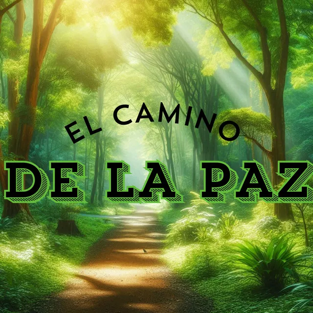 El Camino de la Paz