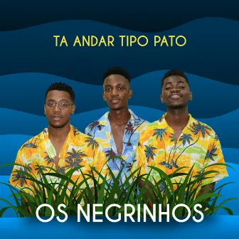 Ta Andar Tipo Pato by Os Negrinhos