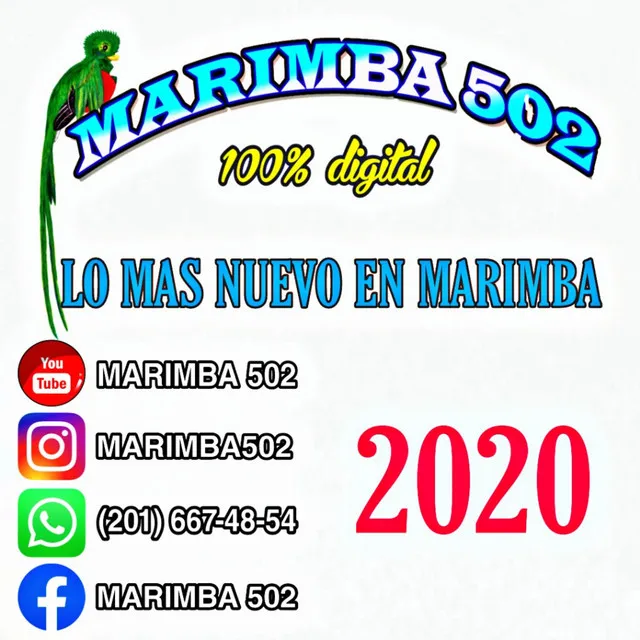 Lo Nuevo en Marimba 2020