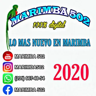 Lo Nuevo en Marimba 2020 by Marimba 502