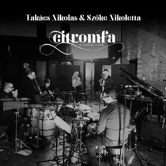 Citromfa (Studio Live) by Szőke Nikoletta