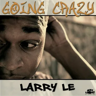 Going Crazy by Larry Le