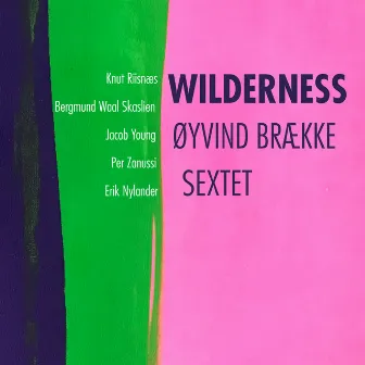 Wilderness by Øyvind Brække