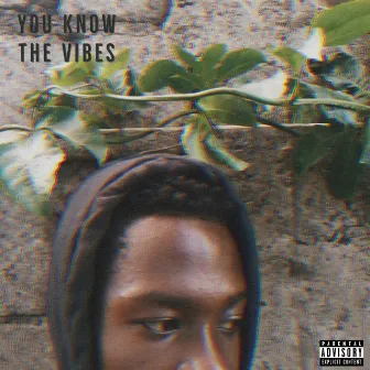 You Know The Vibes by Ogleloo