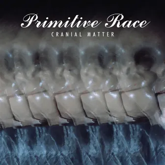 Cranial Matter by Primitive Race