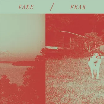 Fake / Fear by Chastity Belt