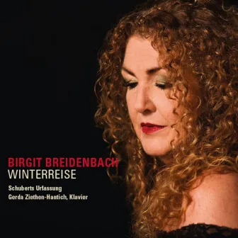 Winterreise by Birgit Breidenbach