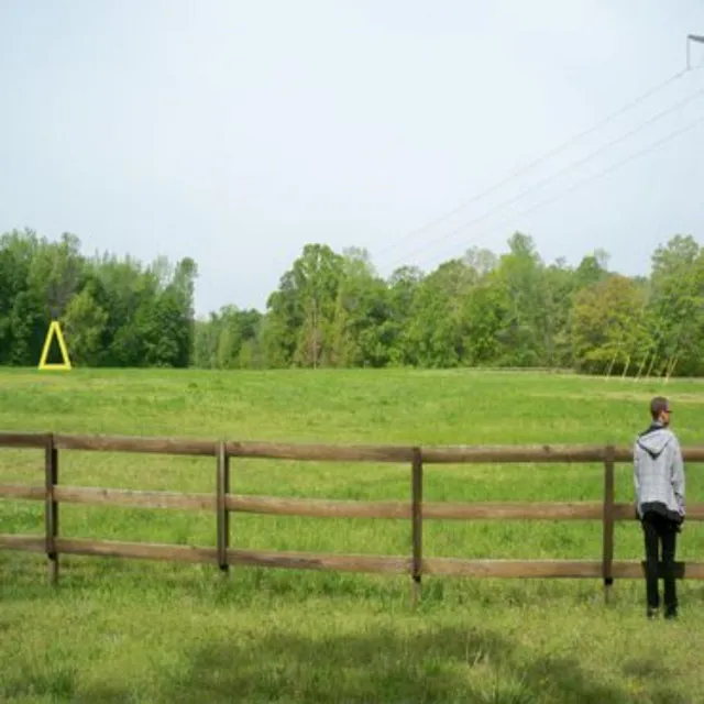 Alone In His Meadow Garden