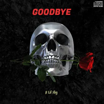 Goodbye by A Lil Shy