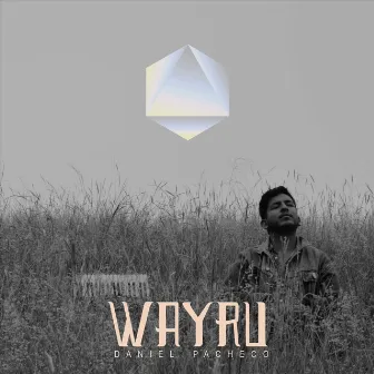 Wayru by Daniel Pacheco